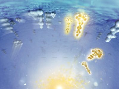Science & Vie - La vie dans une goutte d'eau